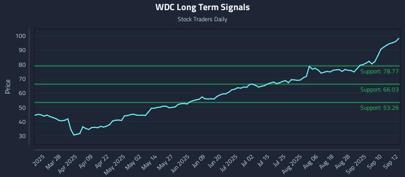 WDC Long Term Analysis for September 15 2025