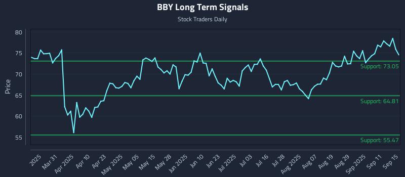 BBY Long Term Analysis for September 16 2025