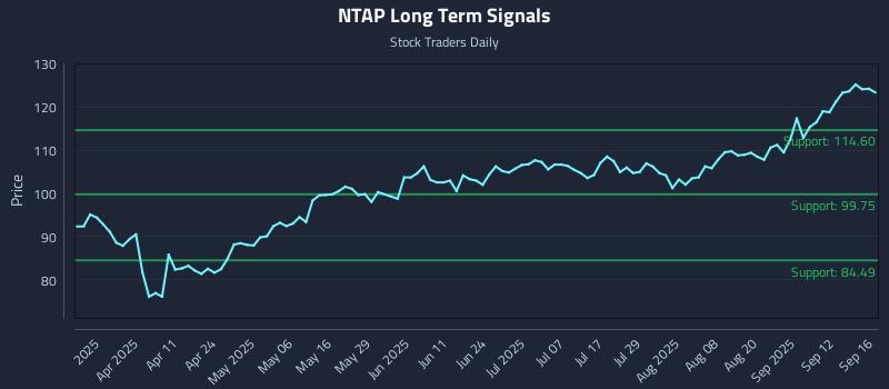 NTAP Long Term Analysis for September 17 2025