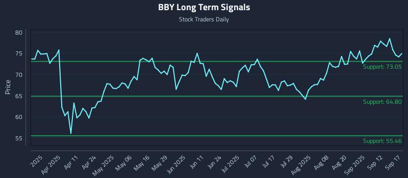 BBY Long Term Analysis for September 17 2025