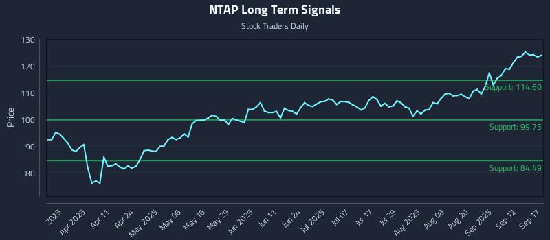 NTAP Long Term Analysis for September 17 2025