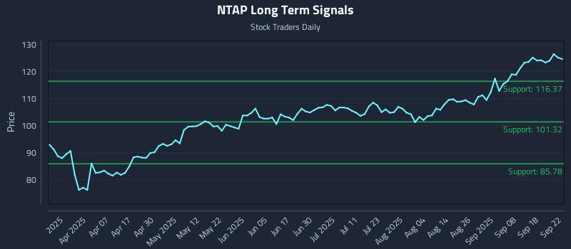 NTAP Long Term Analysis for September 23 2025