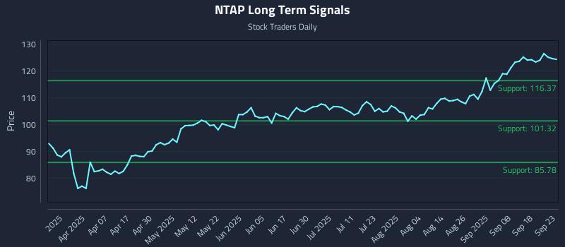 NTAP Long Term Analysis for September 23 2025
