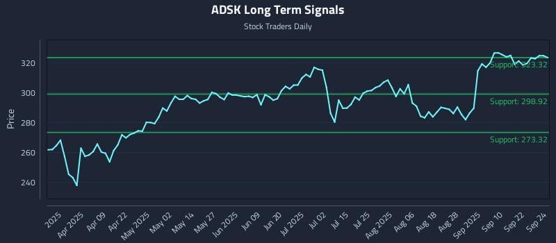 ADSK Long Term Analysis for September 25 2025