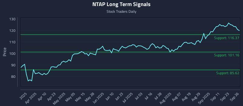 NTAP Long Term Analysis for September 28 2025