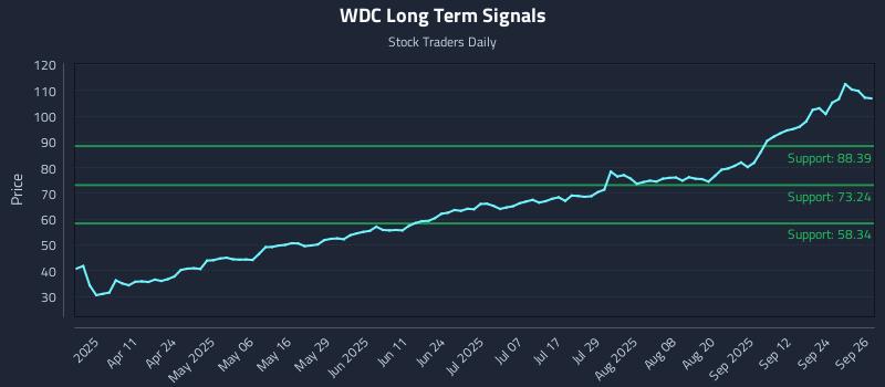 WDC Long Term Analysis for September 29 2025