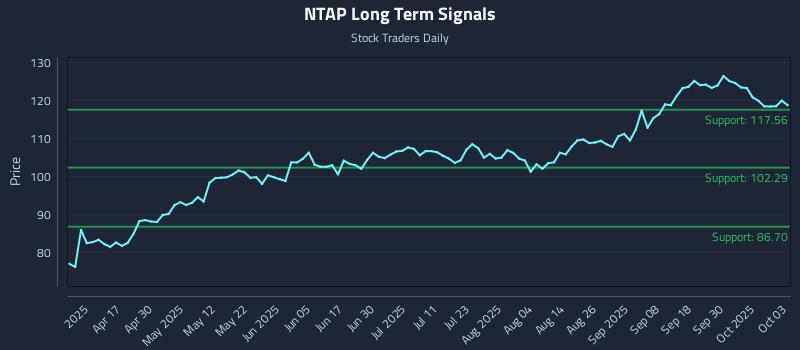 NTAP Long Term Analysis for October 3 2025