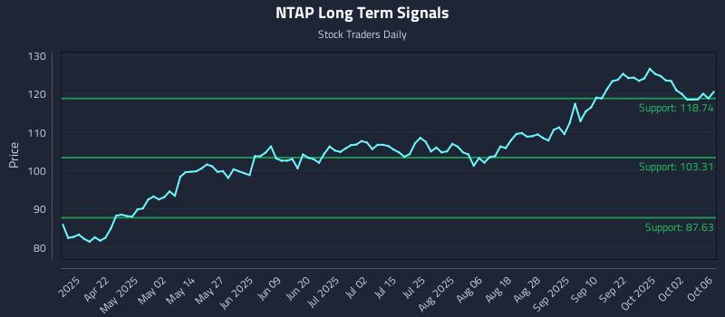 NTAP Long Term Analysis for October 7 2025