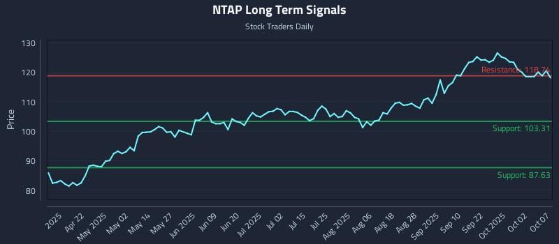 NTAP Long Term Analysis for October 7 2025