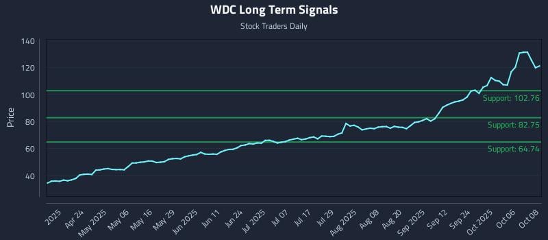 WDC Long Term Analysis for October 9 2025