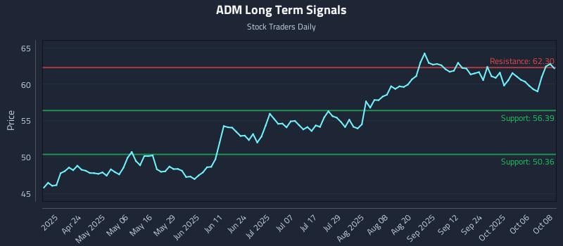 ADM Long Term Analysis for October 9 2025