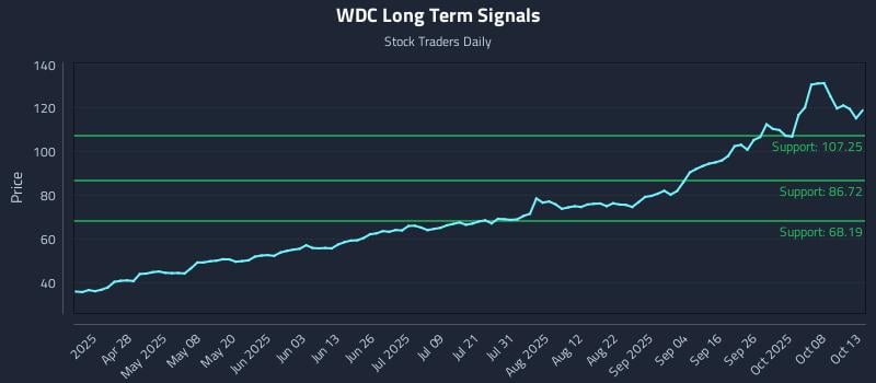 WDC Long Term Analysis for October 13 2025 WDC Long Term Analysis for October 13 2025