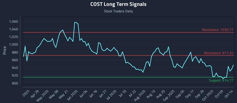 COST Long Term Analysis for October 14 2025 COST Long Term Analysis for October 14 2025