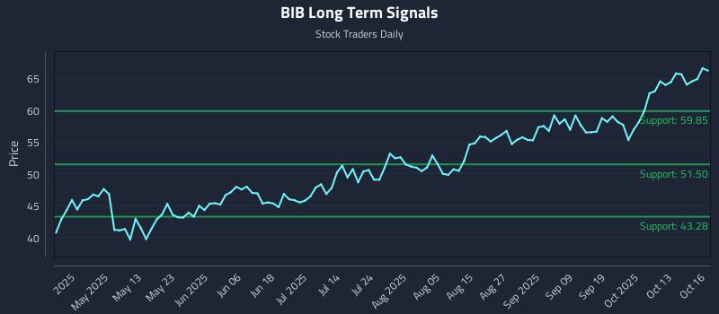 BIB Long Term Analysis for October 16 2025 BIB Long Term Analysis for October 16 2025