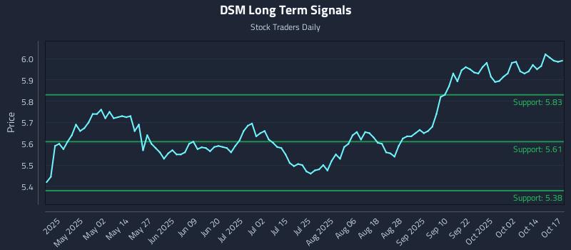 DSM Long Term Analysis for October 17 2025
