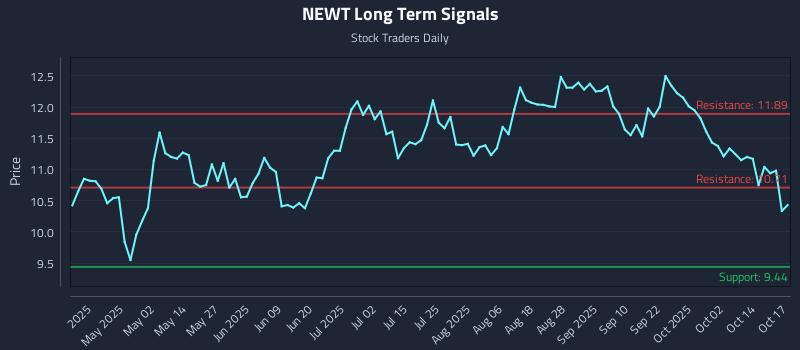 NEWT Long Term Analysis for October 19 2025