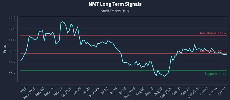 NMT Long Term Analysis for October 19 2025