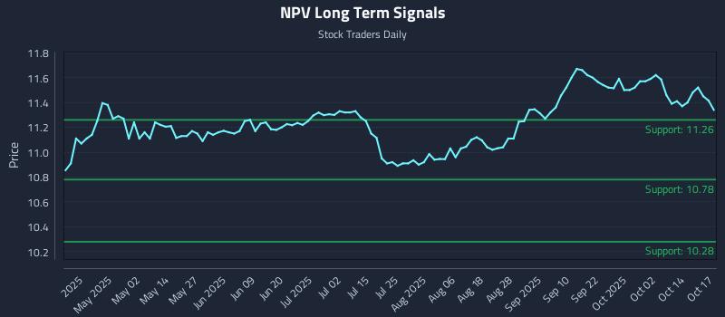 NPV Long Term Analysis for October 19 2025 NPV Long Term Analysis for October 19 2025