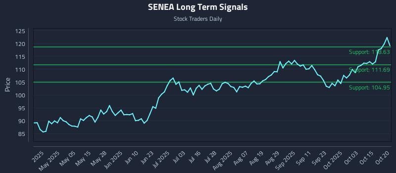 SENEA Long Term Analysis for October 20 2025 SENEA Long Term Analysis for October 20 2025