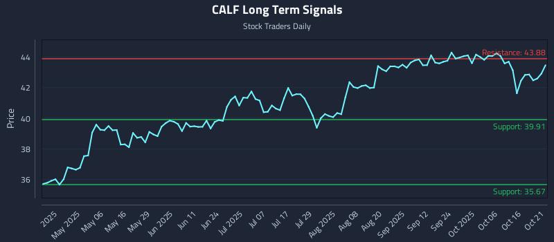 CALF Long Term Analysis for October 21 2025 CALF Long Term Analysis for October 21 2025