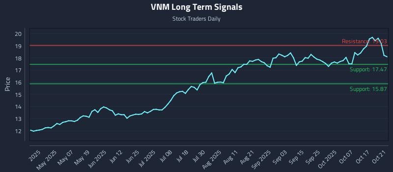 VNM Long Term Analysis for October 22 2025 VNM Long Term Analysis for October 22 2025