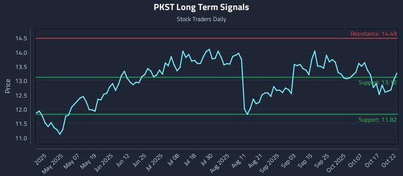 PKST Long Term Analysis for October 22 2025 PKST Long Term Analysis for October 22 2025
