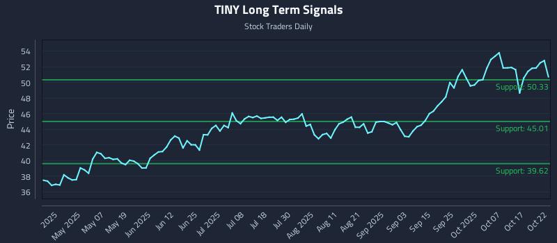 TINY Long Term Analysis for October 22 2025 TINY Long Term Analysis for October 22 2025