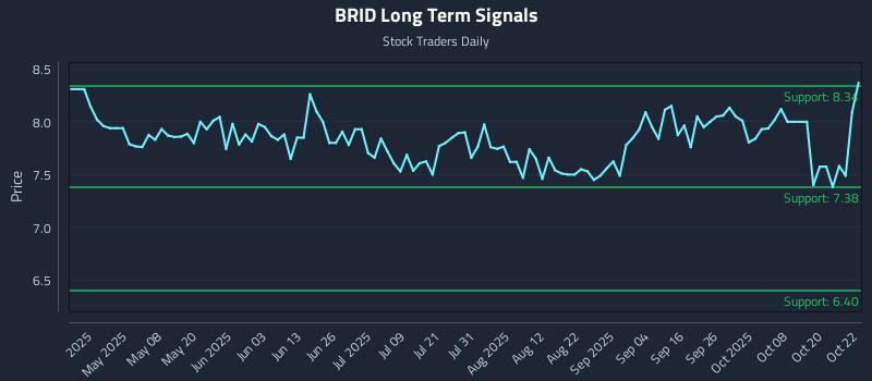 BRID Long Term Analysis for October 23 2025