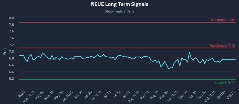 NEUE Long Term Analysis for October 24 2025 NEUE Long Term Analysis for October 24 2025