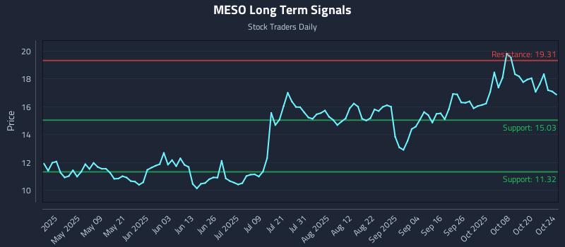 MESO Long Term Analysis for October 24 2025 MESO Long Term Analysis for October 24 2025
