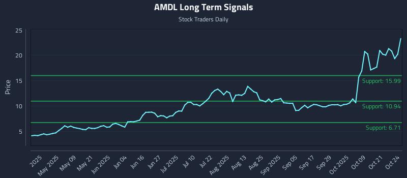 AMDL Long Term Analysis for October 24 2025