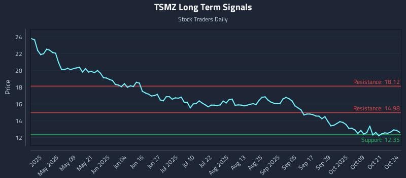 TSMZ Long Term Analysis for October 26 2025 TSMZ Long Term Analysis for October 26 2025
