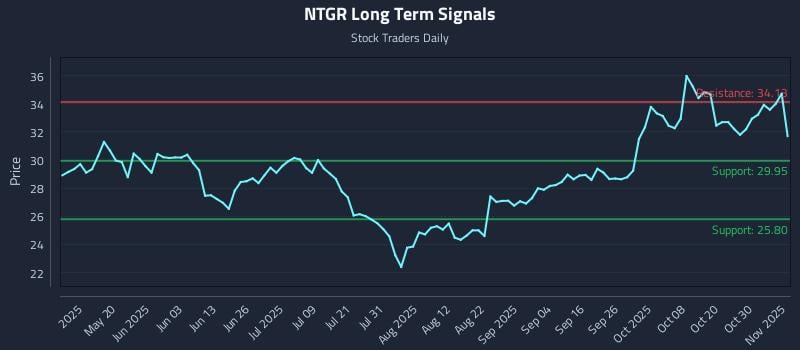 NTGR Long Term Analysis for November 4 2025