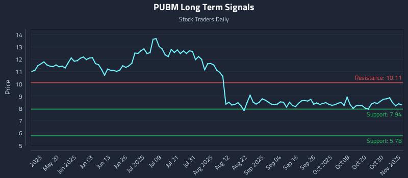 PUBM Long Term Analysis for November 4 2025