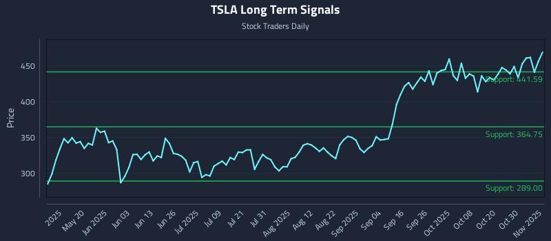 TSLA Long Term Analysis for November 4 2025