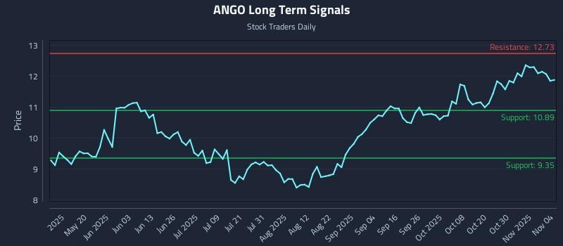 ANGO Long Term Analysis for November 4 2025