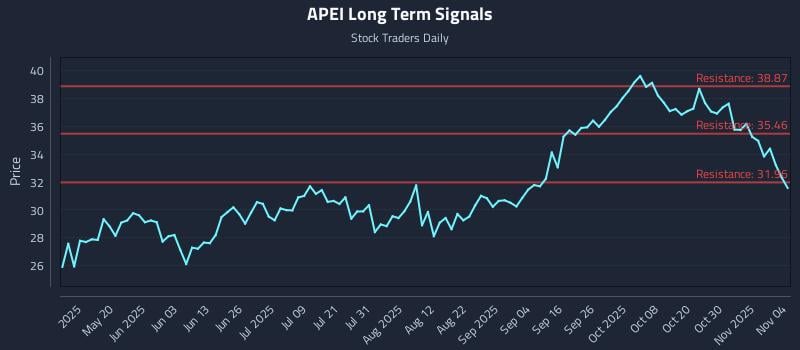 APEI Long Term Analysis for November 4 2025
