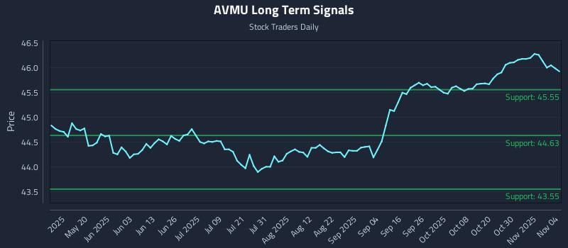 AVMU Long Term Analysis for November 4 2025 AVMU Long Term Analysis for November 4 2025