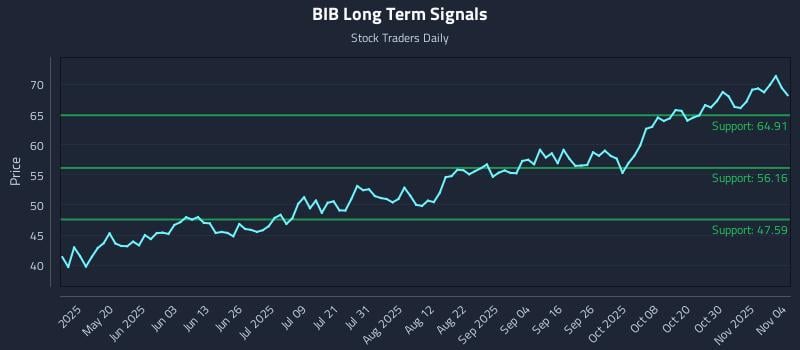 BIB Long Term Analysis for November 4 2025 BIB Long Term Analysis for November 4 2025
