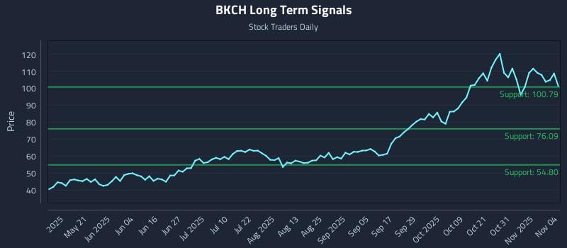 BKCH Long Term Analysis for November 5 2025 BKCH Long Term Analysis for November 5 2025