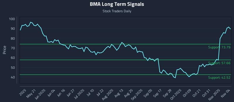 BMA Long Term Analysis for November 5 2025