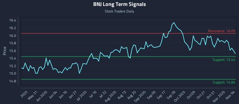 BNJ Long Term Analysis for November 5 2025 BNJ Long Term Analysis for November 5 2025