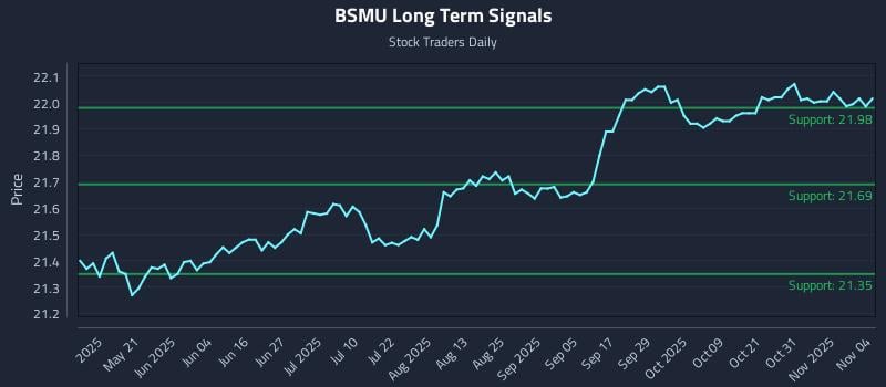 BSMU Long Term Analysis for November 5 2025