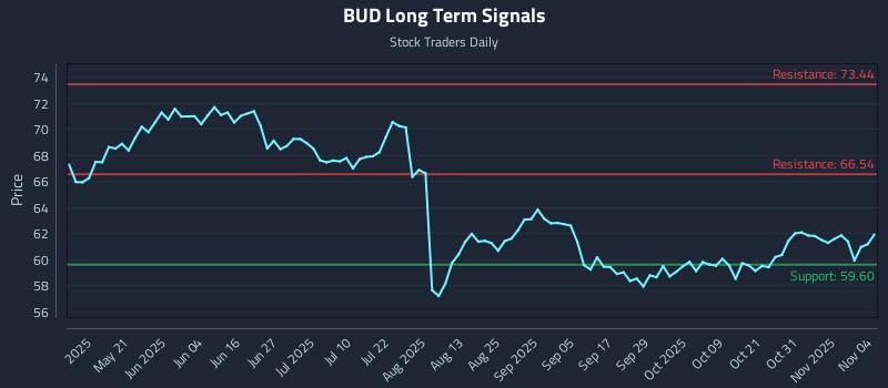BUD Long Term Analysis for November 5 2025