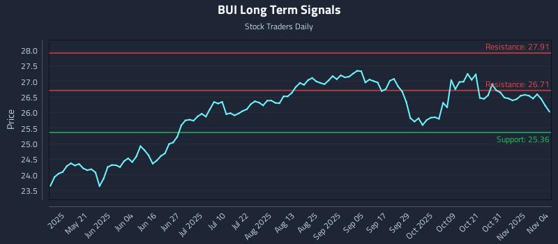 BUI Long Term Analysis for November 5 2025 BUI Long Term Analysis for November 5 2025