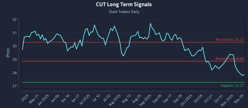CUT Long Term Analysis for November 5 2025