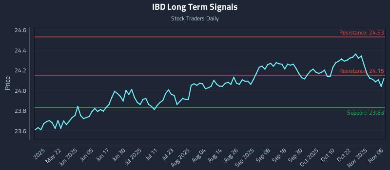 IBD Long Term Analysis for November 6 2025