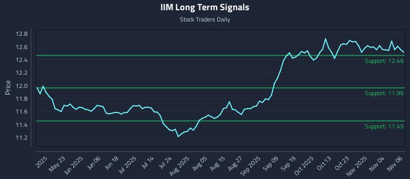 IIM Long Term Analysis for November 7 2025 IIM Long Term Analysis for November 7 2025