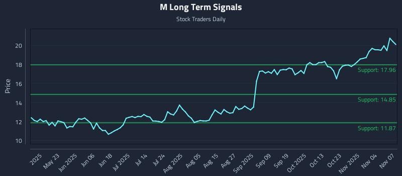 M Long Term Analysis for November 7 2025
