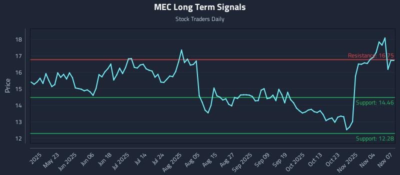 MEC Long Term Analysis for November 7 2025